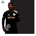 Full Sub Black Panda Short Sleeve | BE FANCY