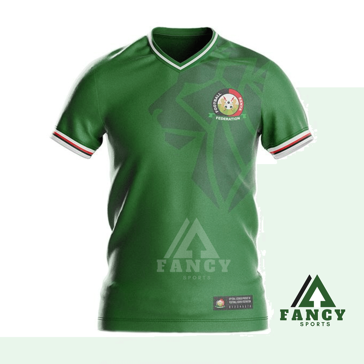 FS DESIGNS (3) Harambee Stars Jersey + Short (Third Kit) Kids - Image 1